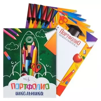 Портфолио школьника папка на кольцах Канцтовары