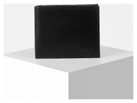 Портмоне мужское, цвет чёрный