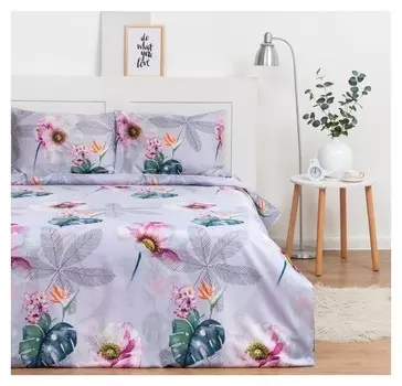 Постельное бельё экономь и Я 2 сп «Нежность» 173х215 см, 175х214 см, 50х70см-2шт, 60 г/м2, микрофибра