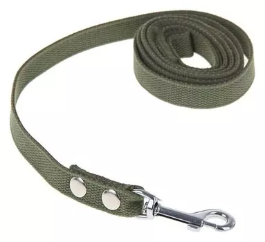 Поводок брезентовый 2 м х 2 см