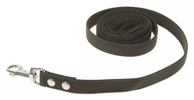 Поводок брезентовый 3 м х 2,5 см
