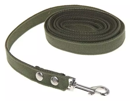 Поводок брезентовый 3 м х 2 см