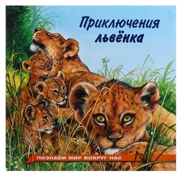 Познаем мир вокруг нас «Приключения львенка»