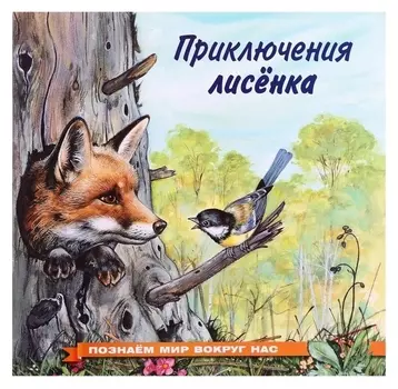 Познаем мир вокруг нас «Приключения лисенка»