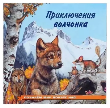 Познаём мир вокруг нас «Приключения волчонка»