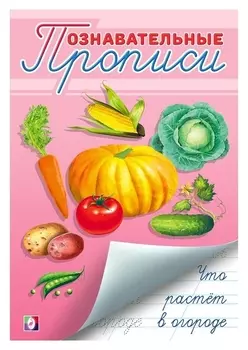 Познавательные прописи Что растёт в огороде