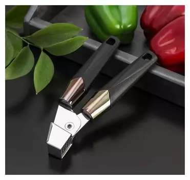 Пресс для чеснока «Хром», 19,5×6 см, цвет чёрный