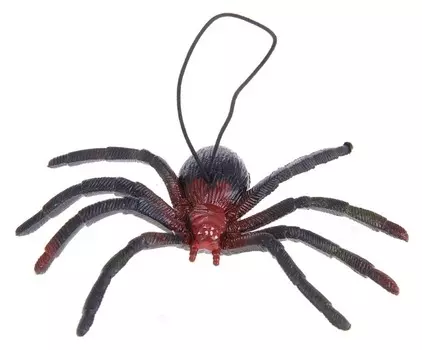 Прикол «Паук»