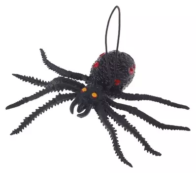 Прикол «Паук»