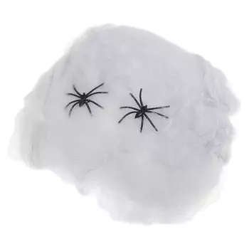 Прикол «Паутина и 2 паука»