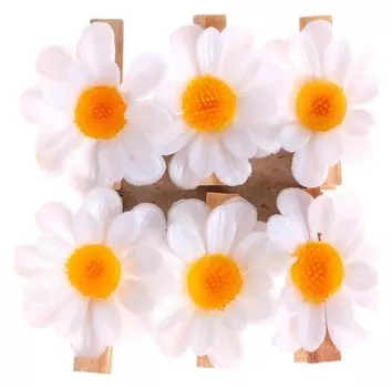Прищепки для декора «Ромашки» 6 шт.
