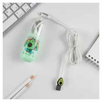 Провод Lightning в колбе "Welcome To Party", 1м