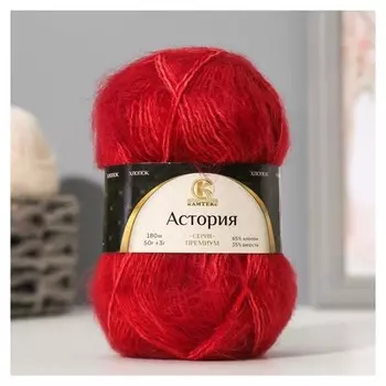 Пряжа "Астория" 65% хлопок, 35% шерсть 180м/50гр (11410 меланж)