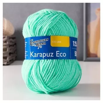 Пряжа Karapuz Eco (Карапузэко) 90% акрил, 10% капрон 125м/50гр весна (899)