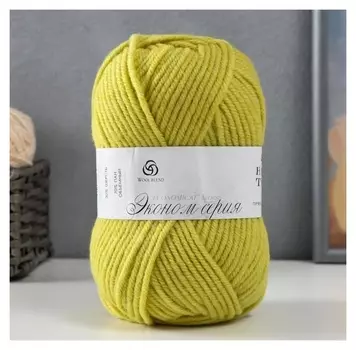 Пряжа "Народная традиция" 30% шерсть 70% акрил 100м/100гр (37-липа)