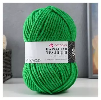 Пряжа "Народная традиция" 30% шерсть 70% акрил 100м/100гр (65-экзотика)
