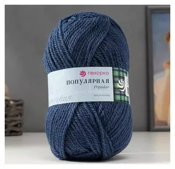 Пряжа "Популярная" 50% шерсть, 50 % акрил 133м/100гр (256-св.джинса)