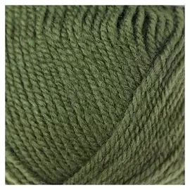 Пряжа "Super Excellence" 49% шерсть, 51% акрил 228м/100гр (82 зеленый)
