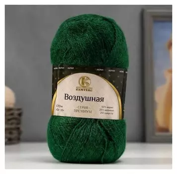 Пряжа "Воздушная" 25%меринос. шерсть, 25%шерсть, 50%акрил 370м/100гр (110 зеленый)