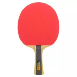 Ракетка для настольного тенниса DHS T1002, 1* звезда, для начинающих игроков, накладка 1,8 мм, коническая ручка