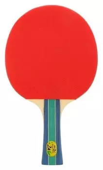 Ракетка для настольного тенниса Fish 2A-C