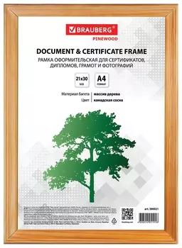 Рамка 21х30 см, дерево, багет 18 мм, Brauberg "Hit", канадская сосна, стекло, 390021
