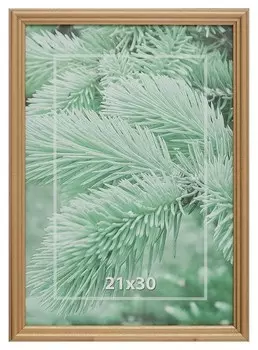 Рамка 21х30см деревянная, профиль №1, цвет ?золото?