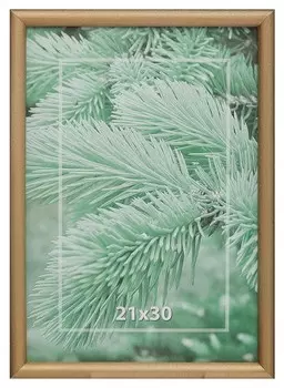 Рамка 21х30см деревянная, профиль №4, цвет ?золото?