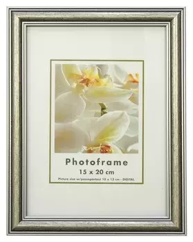 Рамка пластиковая Frigg Metal 15x20 43906