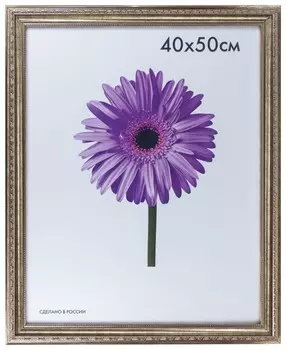 Рамка премиум 40х50 см, пластик, багет 33 мм, "Dorothy", серебро, 0023-16-3330
