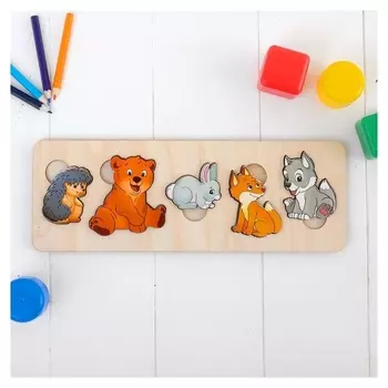 Рамка-вкладыш Дикие животные