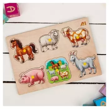 Рамка-вкладыш Домашние животные