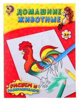 Раскраска «Домашние животные», 12 стр.