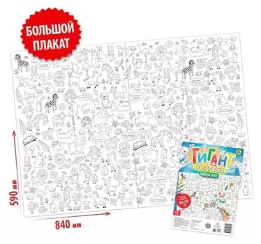 Раскраска-гигант «Найди нас!»