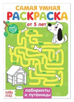 Раскраска «Лабиринты и путаницы», 12 стр.