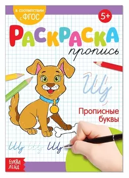 Раскраска пропись «Прописные буквы», 20 стр.