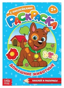 Раскраска с наклейками «Домашние животные», 16 стр.