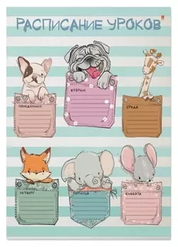 Расписание уроков а4,1л, 4 вида 2-017
