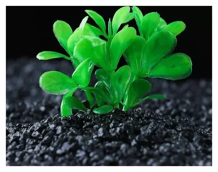 Растение искусственное аквариумное малое, 6 см