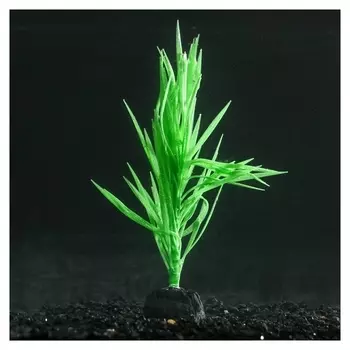 Растение силиконовое аквариумное, светящееся в темноте, 7 х 12,5 см, зелёное