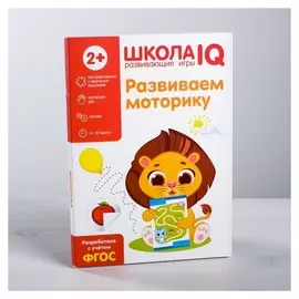 Развивающая игра «Школа IQ Развиваем моторику»