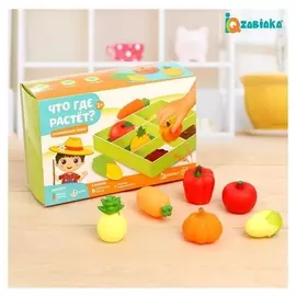 Развивающий набор «Что где растёт»