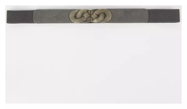 Ремень женский, ширина 2,5 см, резинка, пряжка золото, цвет тёмно-серый