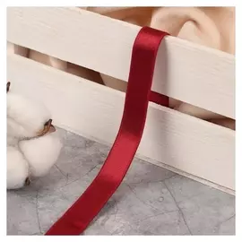 Резинка для бретелей, блестящая, 15 мм, 10 ± 0,5 м, цвет бордовый