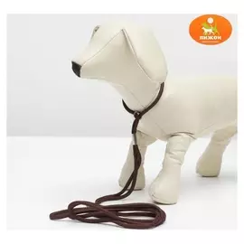 Ринговка, удавка до 45 см, поводок 100 см, коричневая