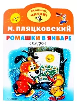 Ромашки в январе
