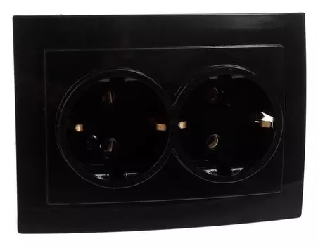 Розетка "Элект" RS 16-238-ч, двухместная, с з/к, скрытая, черная