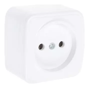 Розетка TDM "Дача" народная, 2П, 10 А, Ip20, открытая, белый