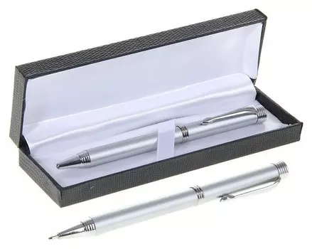 Ручка шариковая, подарочная, поворотная в кожзам футляре Директор серебристая