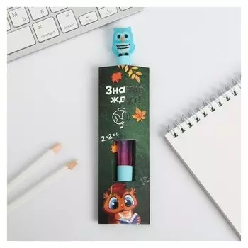 Ручка - шейкер "Знания ждут"